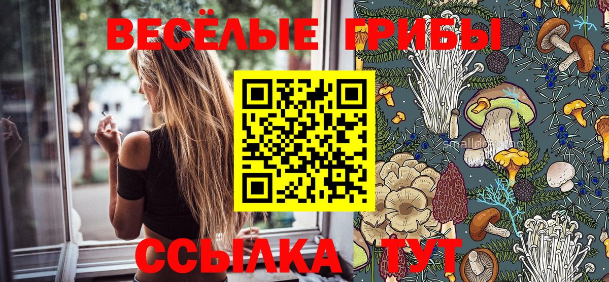 Краснокаменск  Псилоцибиновые грибы GOLDEN TEACHER  Вход с VPN  Псилоцибиновые грибы Cubensis 