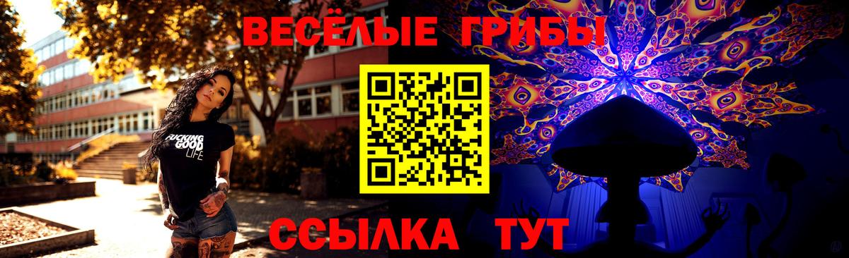 Галлюциногенные грибы Psilocybe Краснокаменск
